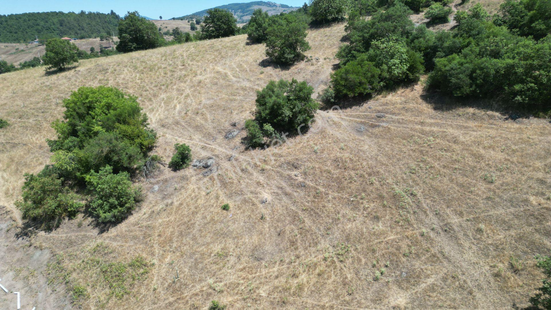Kocaeli Karamürsel Çamdibi Mahallesi 4318 M2 Satılık Tarla - Görsel 12
