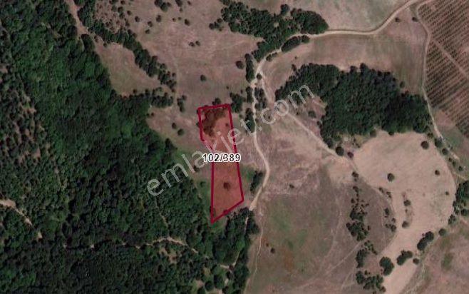 Kocaeli Karamürsel Çamdibi Mahallesi 4858 M2 İmarlı Satılık Tarla - Görsel 21