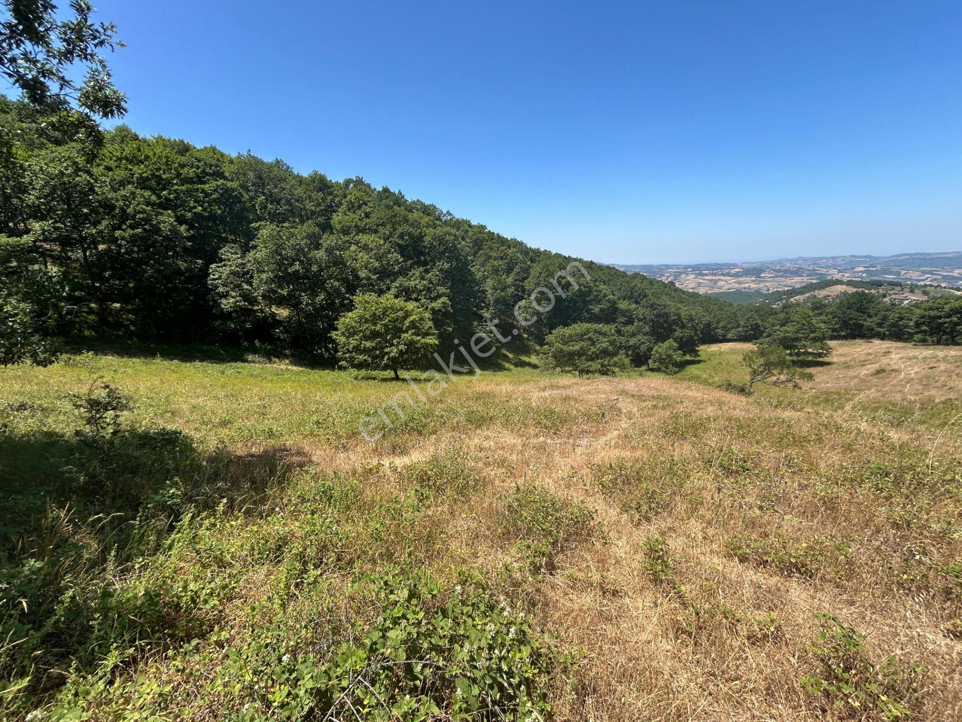 Kocaeli Karamürsel Çamdibi Mahallesi 4858 M2 İmarlı Satılık Tarla - Görsel 3