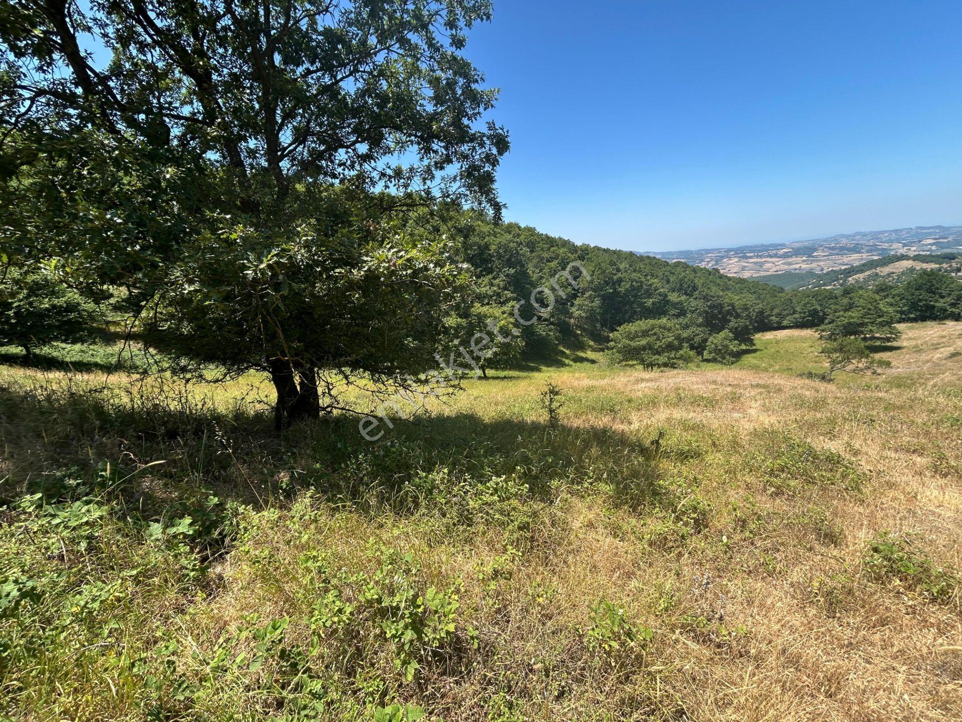 Kocaeli Karamürsel Çamdibi Mahallesi 4858 M2 İmarlı Satılık Tarla - Görsel 2