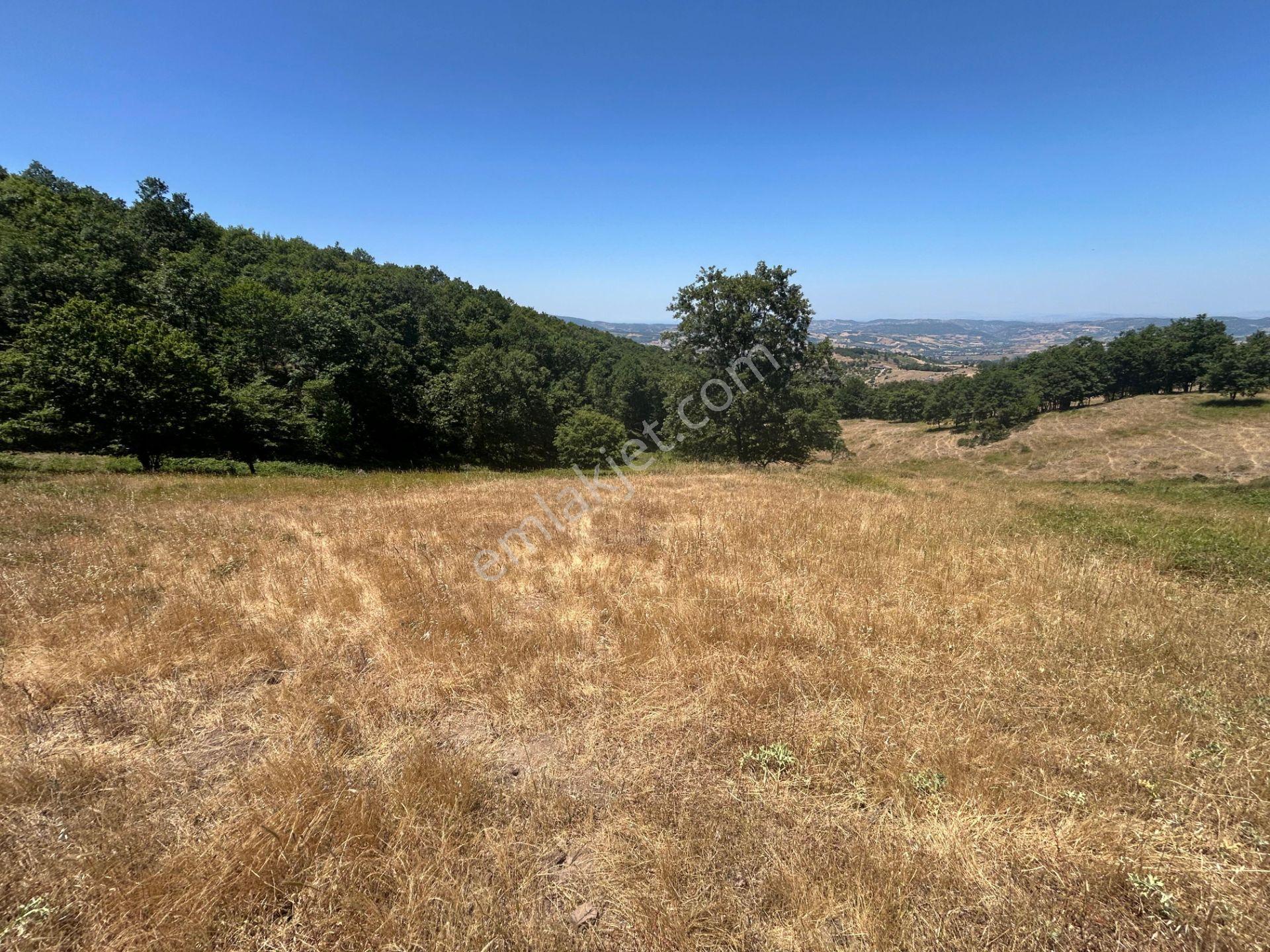 Kocaeli Karamürsel Çamdibi Mahallesi 4858 M2 İmarlı Satılık Tarla - Görsel 16