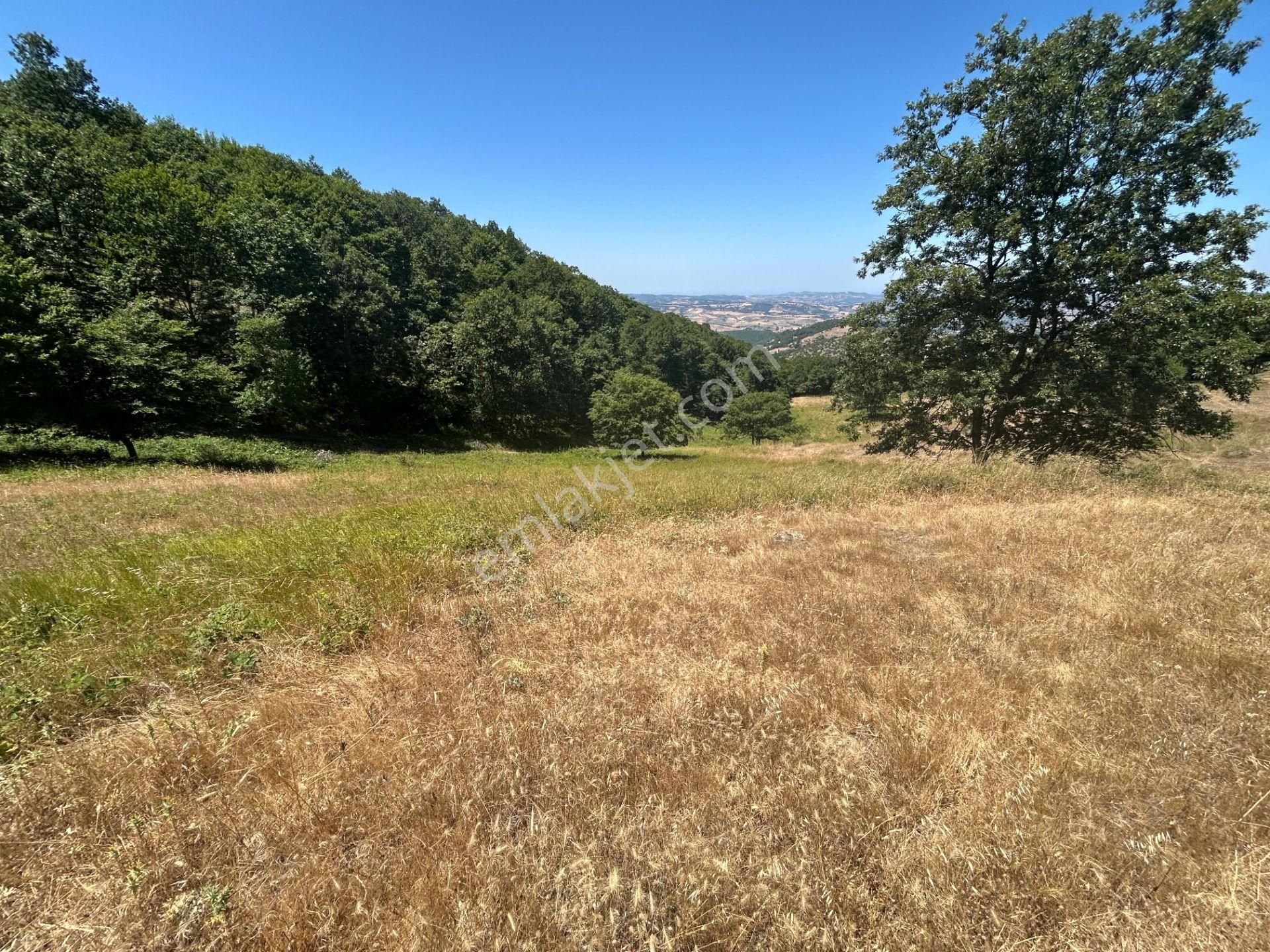 Kocaeli Karamürsel Çamdibi Mahallesi 4858 M2 İmarlı Satılık Tarla