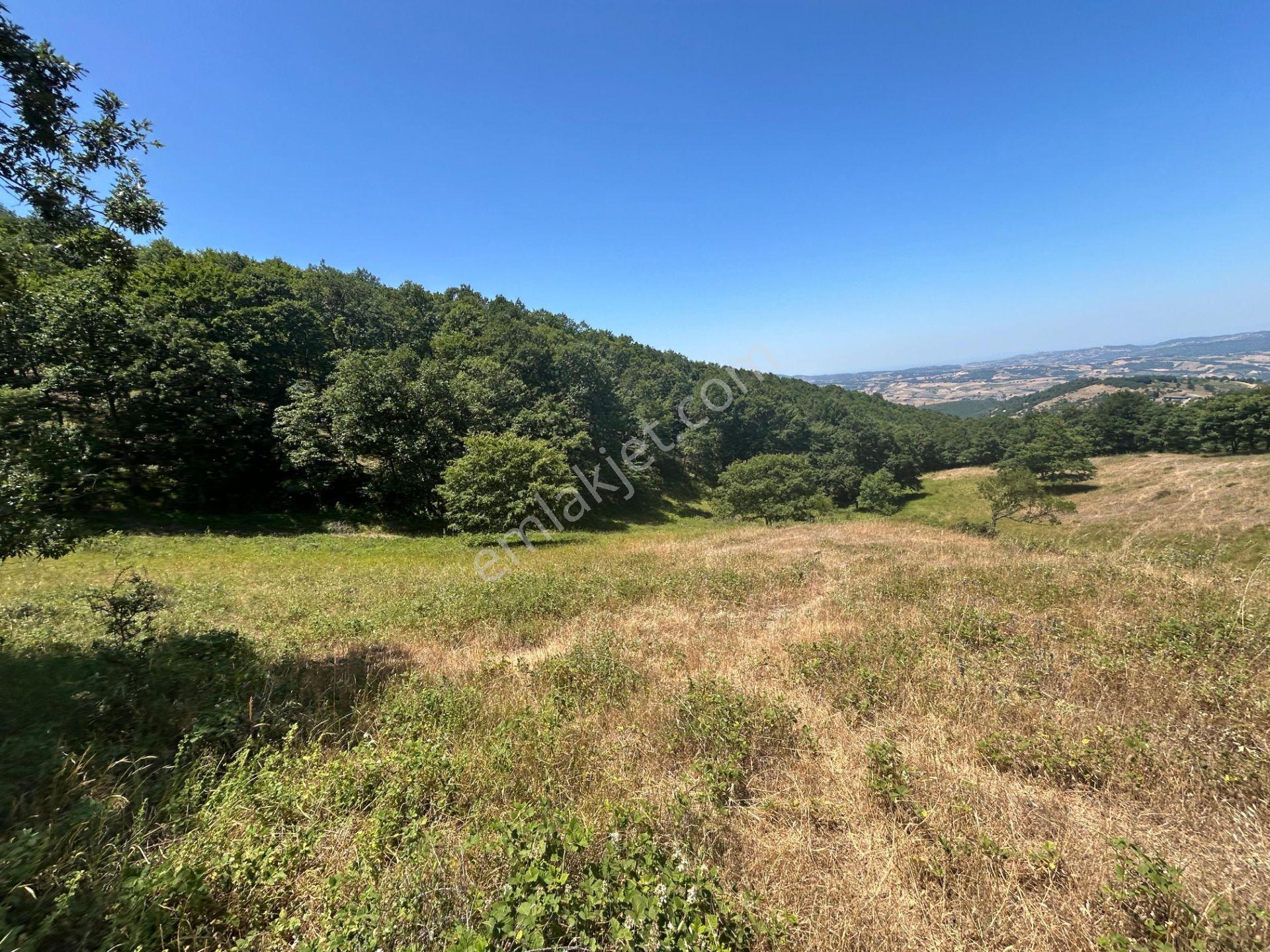 Kocaeli Karamürsel Çamdibi Mahallesi 4858 M2 İmarlı Satılık Tarla - Görsel 14