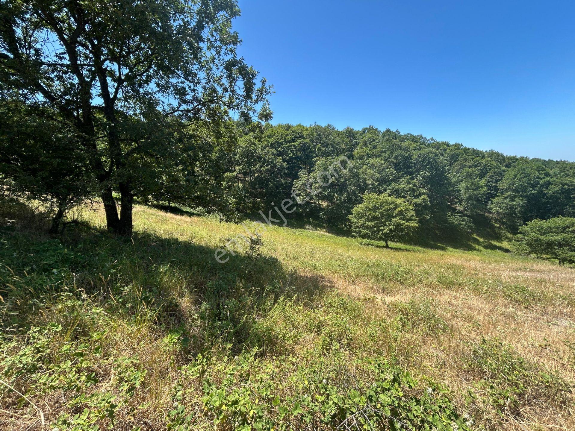 Kocaeli Karamürsel Çamdibi Mahallesi 4858 M2 İmarlı Satılık Tarla - Görsel 7
