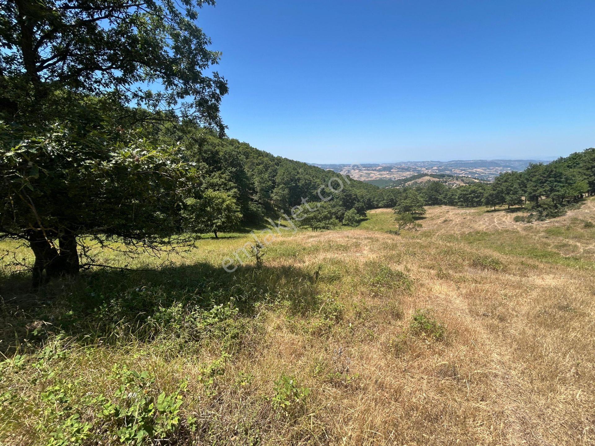Kocaeli Karamürsel Çamdibi Mahallesi 4858 M2 İmarlı Satılık Tarla - Görsel 9