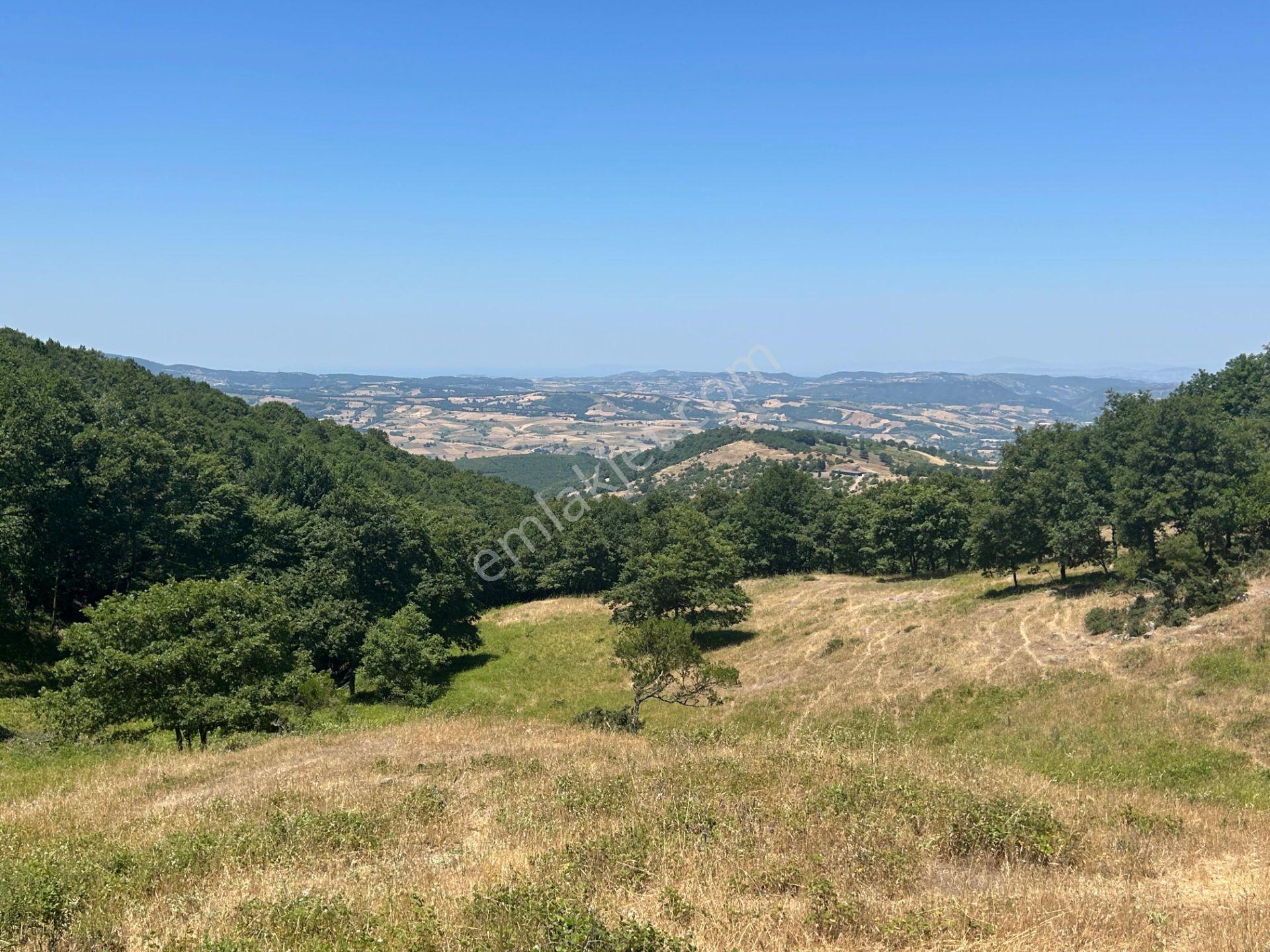 Kocaeli Karamürsel Çamdibi Mahallesi 4858 M2 İmarlı Satılık Tarla - Görsel 12