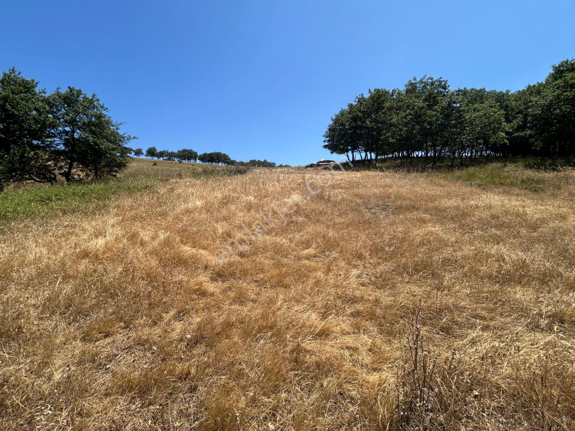 Kocaeli Karamürsel Çamdibi Mahallesi 4858 M2 İmarlı Satılık Tarla - Görsel 4
