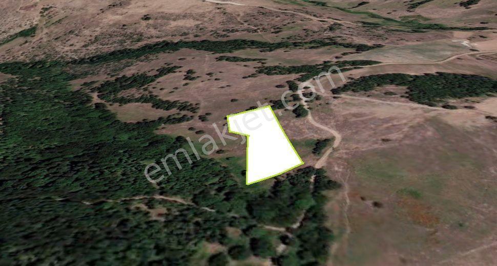 Kocaeli Karamürsel Çamdibi Mahallesi 4858 M2 İmarlı Satılık Tarla - Görsel 19