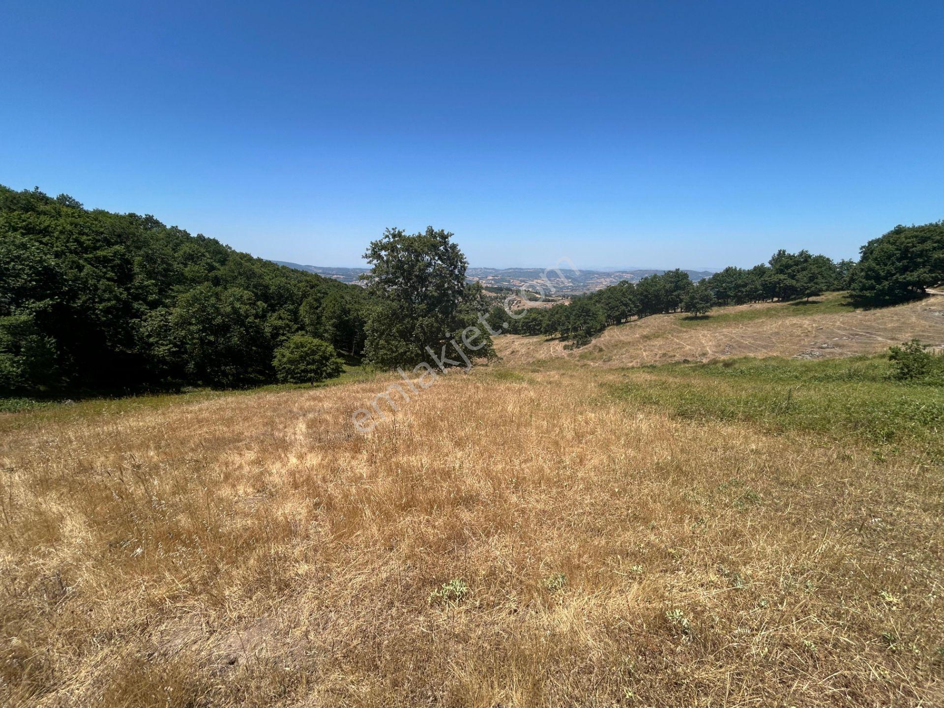 Kocaeli Karamürsel Çamdibi Mahallesi 4858 M2 İmarlı Satılık Tarla - Görsel 13