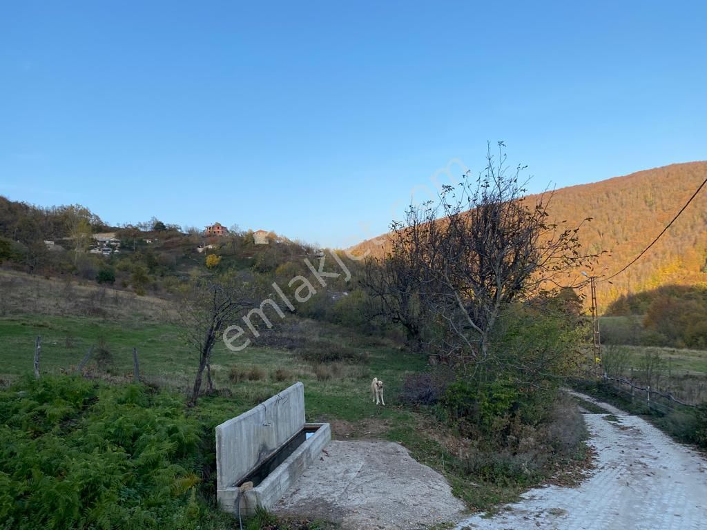 Bursa İznik Osmaniye Mahallesi 851 M2 Konut İmarlı Arsa - Görsel 9