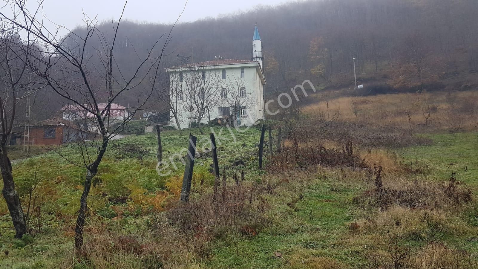 Bursa İznik Osmaniye Mahallesi 851 M2 Konut İmarlı Arsa - Görsel 12