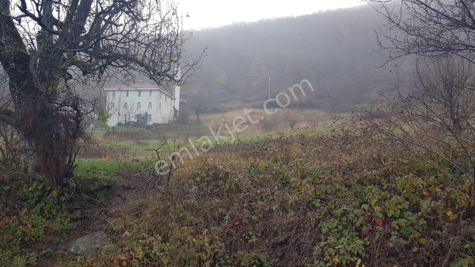 Bursa İznik Osmaniye Mahallesi 851 M2 Konut İmarlı Arsa - Görsel 4