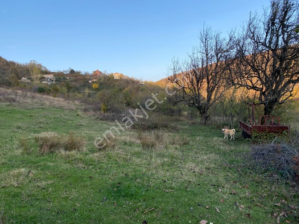 Bursa İznik Osmaniye Mahallesi 851 M2 Konut İmarlı Arsa - Görsel 13