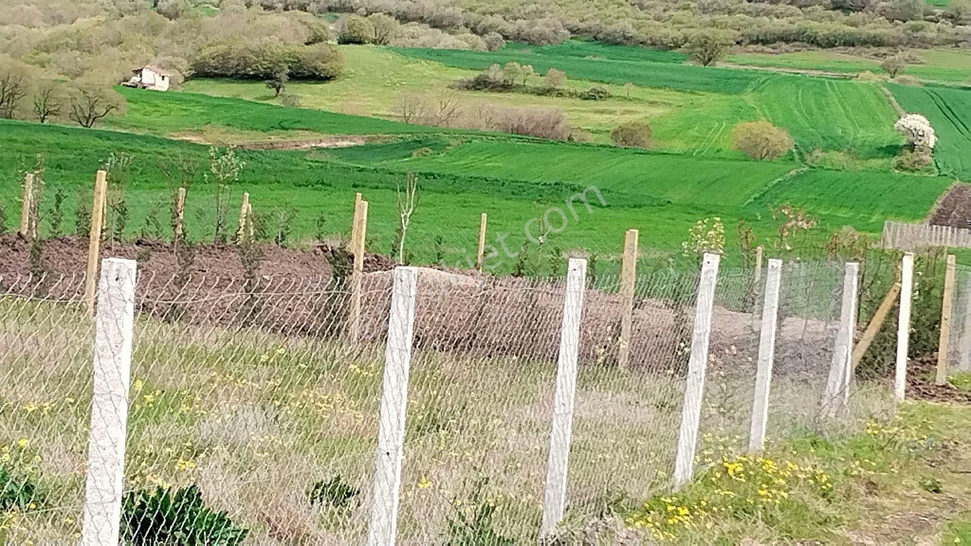 Kunum Güzel Köy - Görsel 8