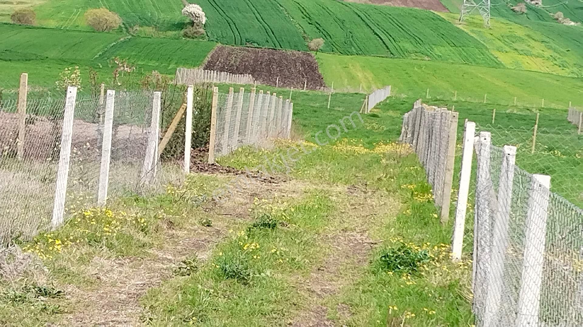 Kunum Güzel Köy - Görsel 11