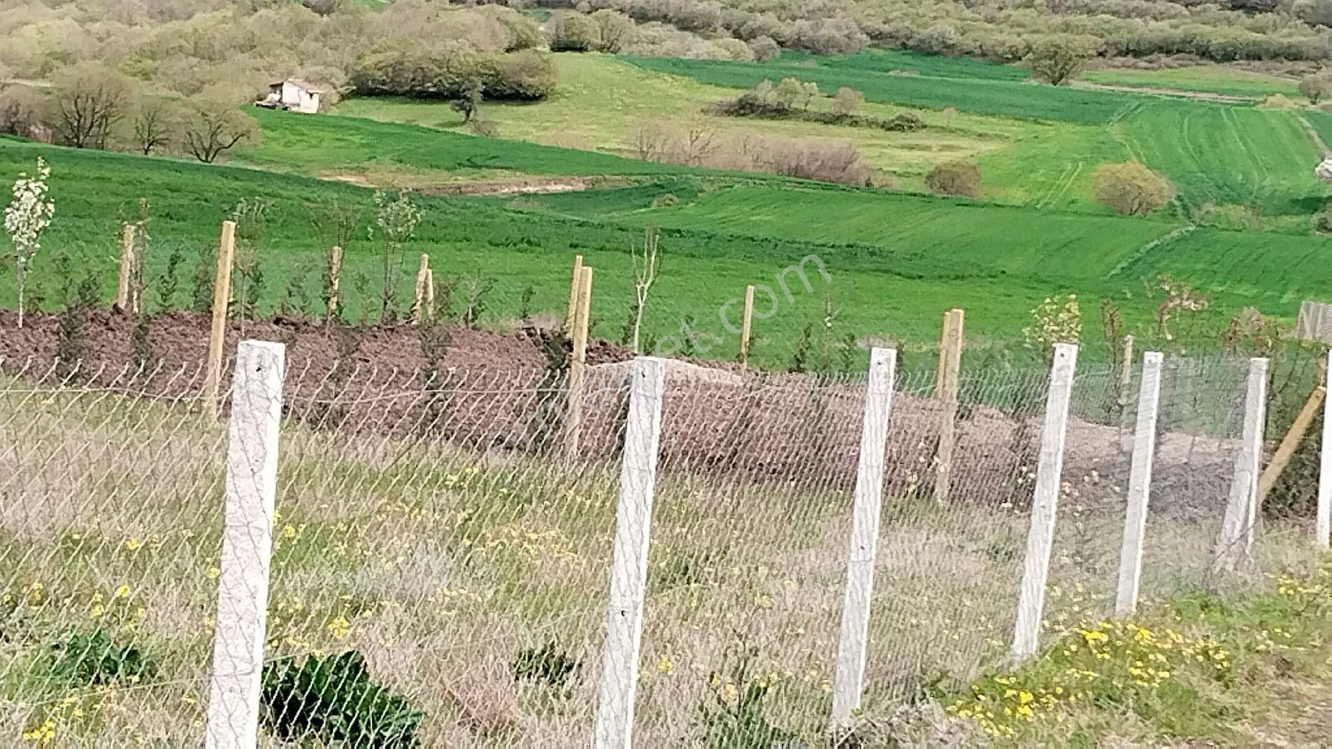 Kunum Güzel Köy - Görsel 9