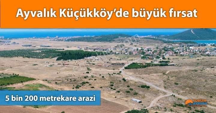 Ayvalık Küçükköy Satılık Zeytinlik Ayvalık Küçükköy De İtalyan Rüyası