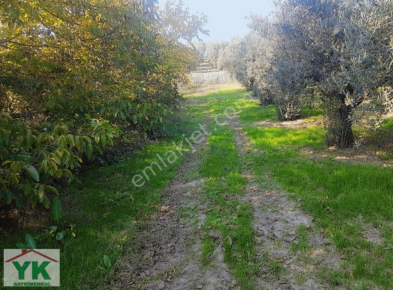 Nilüfer Konaklı Satılık Bağ & Bahçe Bursa Konaklıda Satılık Tarla