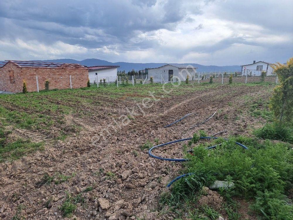 Çorum Merkez Eskiekin Köyü (Eskiekin Mücavir) Satılık Bağ & Bahçe Güvenay - Çorum Cemilbey Yolu 3.km Satılık 400 M² Bahçe