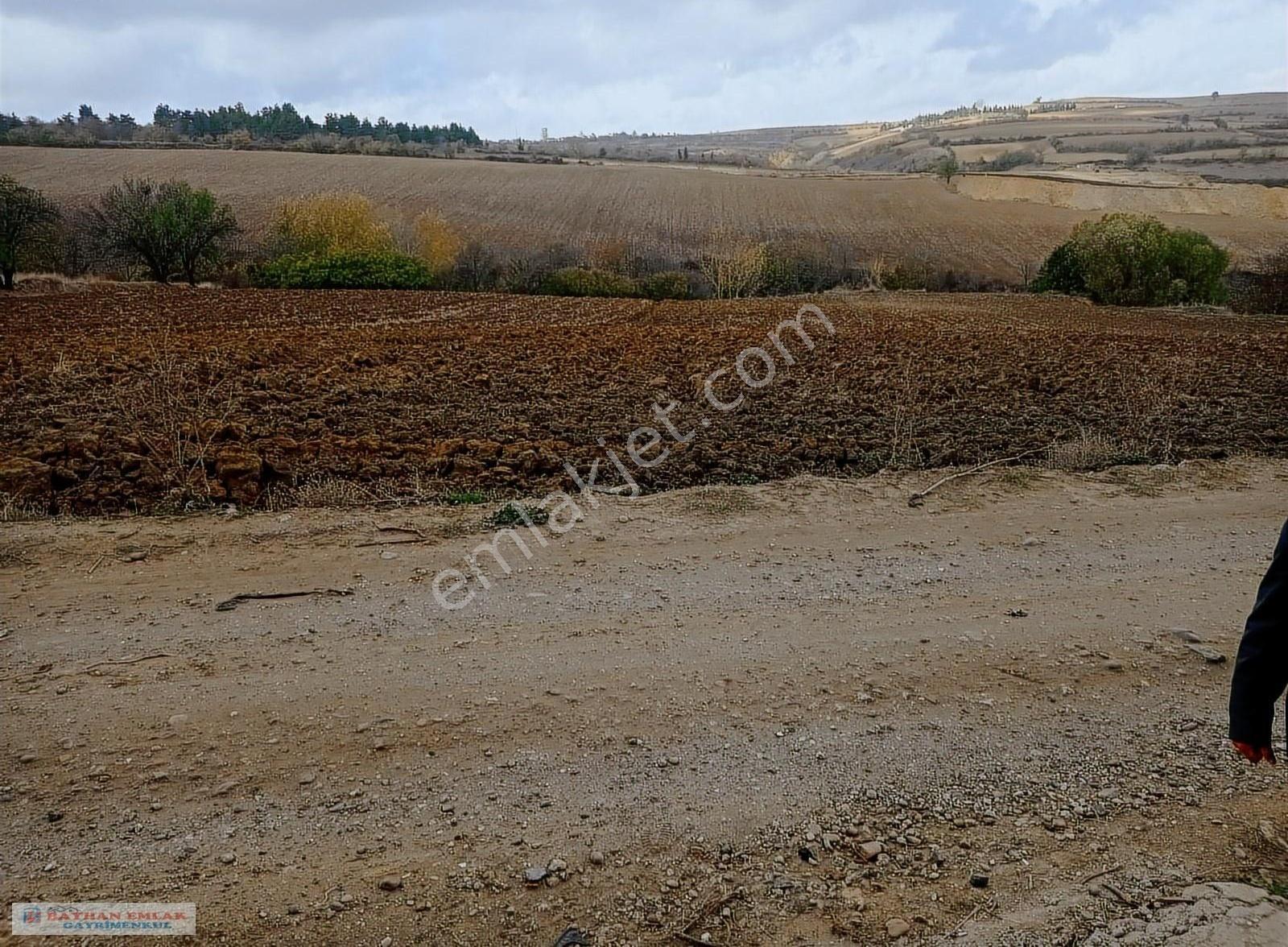 Tekirdağ Malkara Merkeze Bitişik Satılık 7500 M2 Tarla - Görsel 6