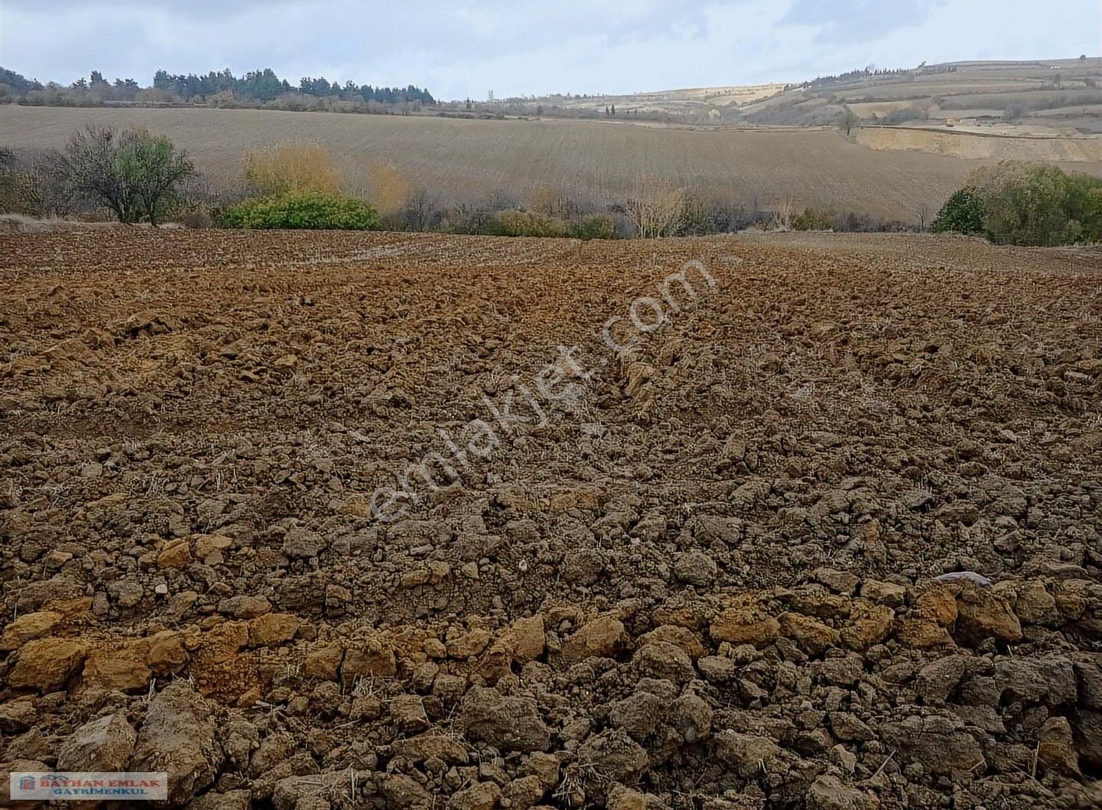 Tekirdağ Malkara Merkeze Bitişik Satılık 7500 M2 Tarla - Görsel 12
