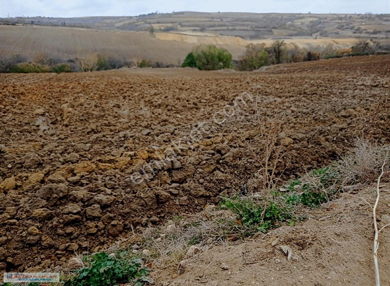 Tekirdağ Malkara Merkeze Bitişik Satılık 7500 M2 Tarla - Görsel 17