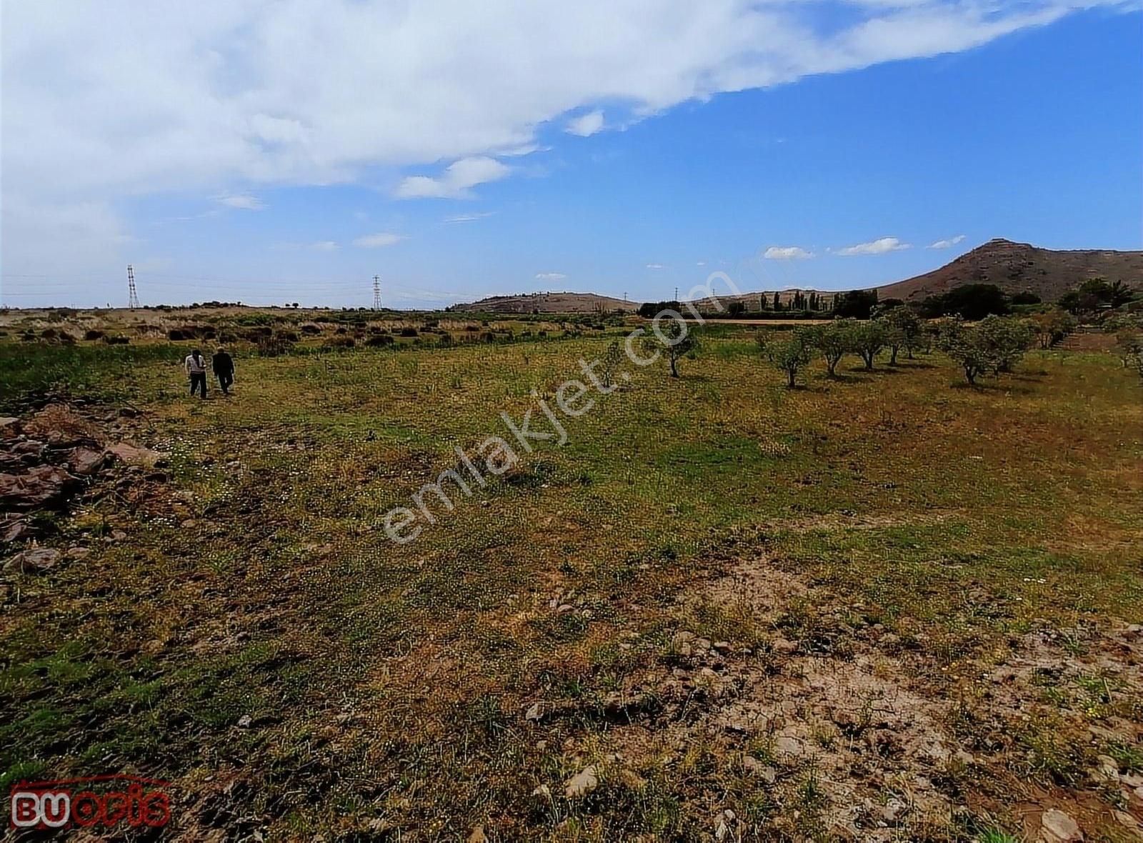 İzmir Menemen Yanıkköy'de Hayvancılık İçin Uygun Arazi - Görsel 17