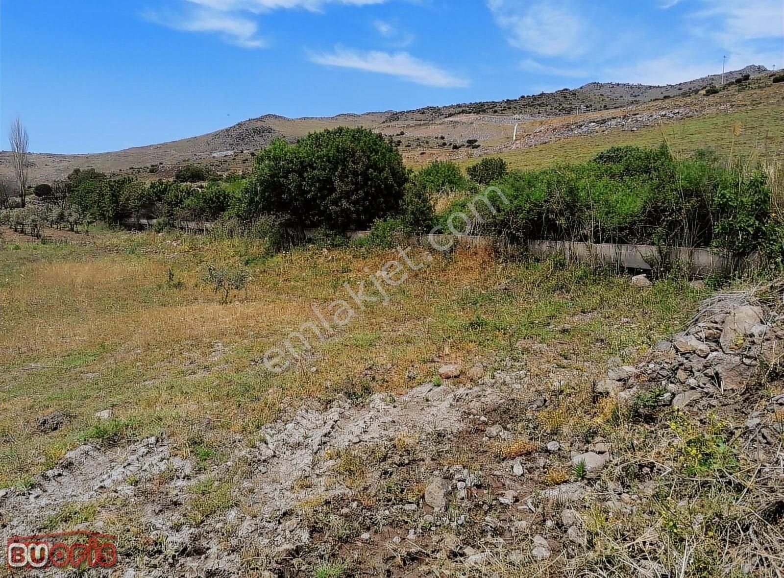 İzmir Menemen Yanıkköy'de Hayvancılık İçin Uygun Arazi - Görsel 7