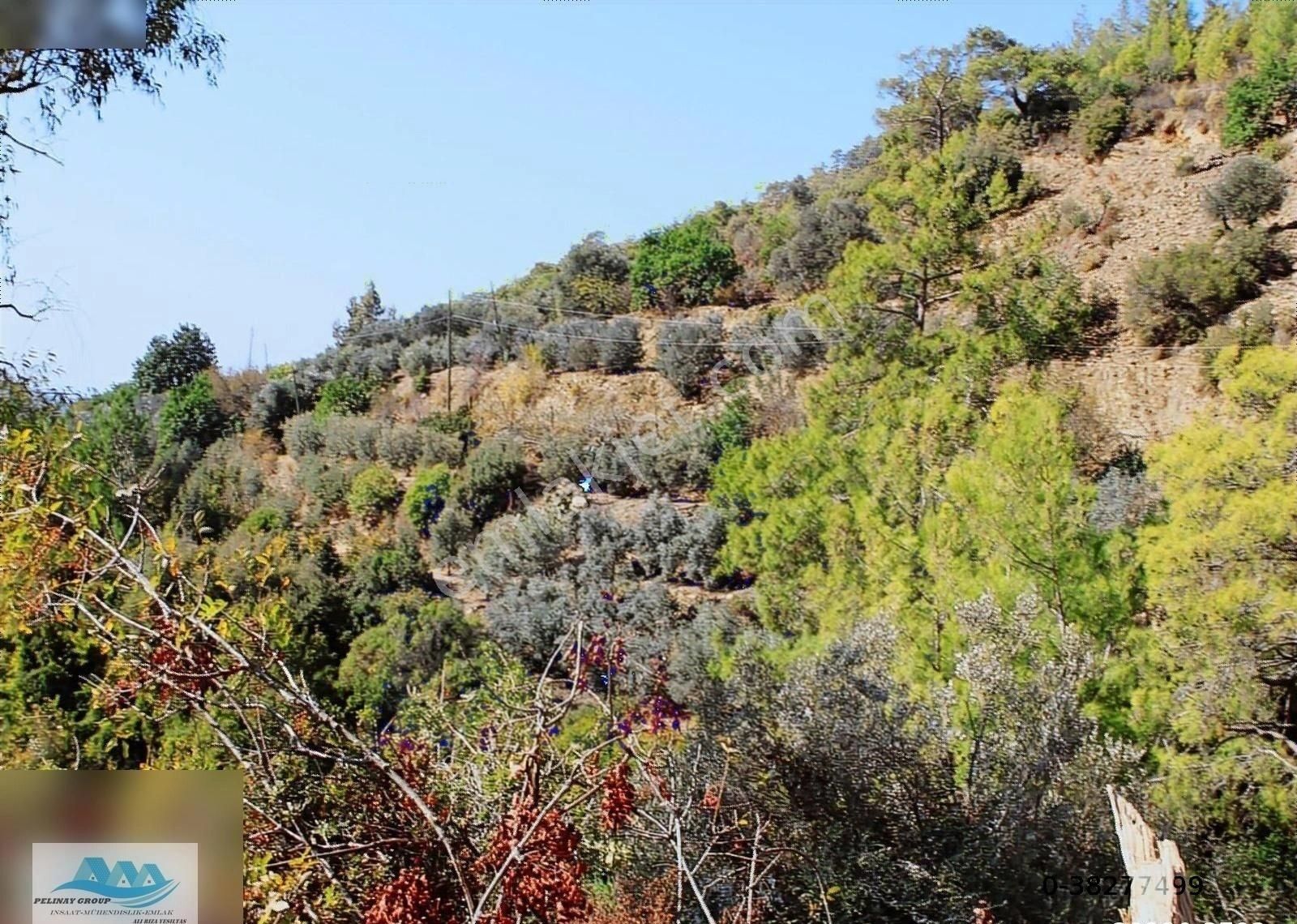 Anamur Satılık Müstakil Ev Deniz Manzaralı 850 M2 Demirören - Görsel 26