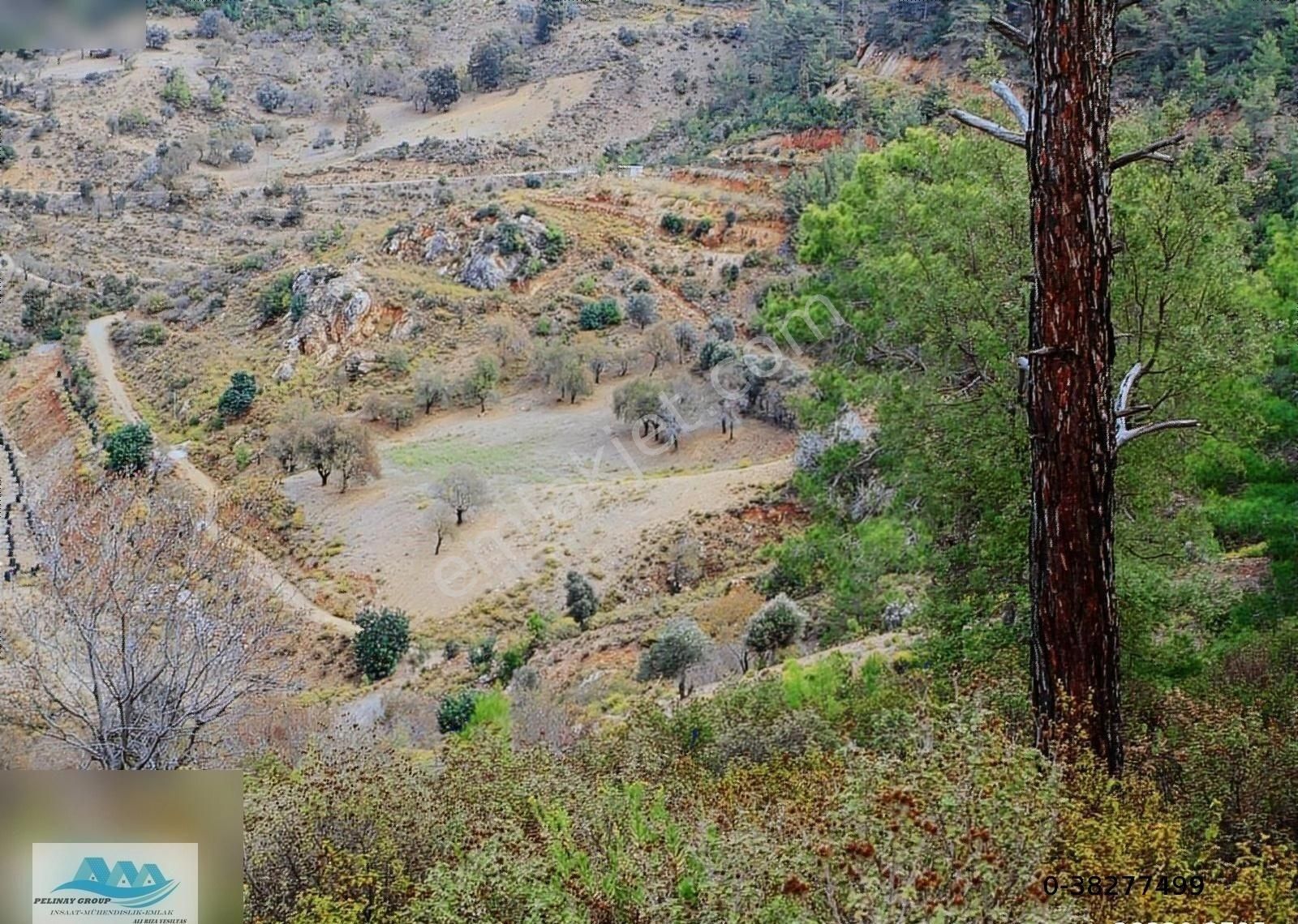 Anamur Anıtlı Satılık Deniz Manzaralı Tarla 4.312 M2 - Görsel 5