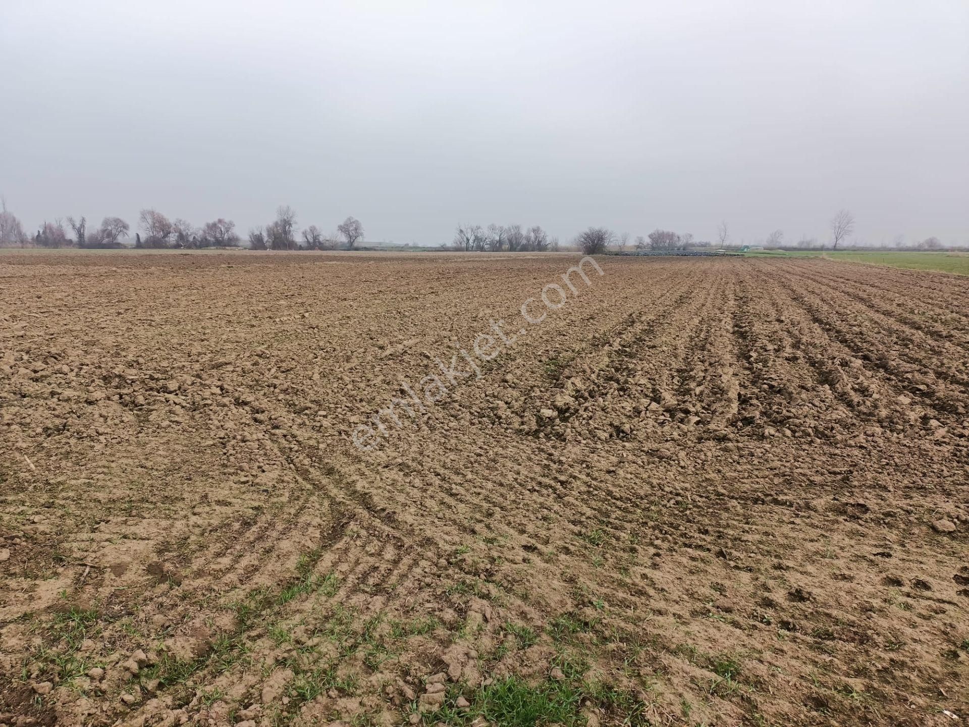 Bursa Mustafakemalpaşa Tepecik Mh.8.900 M2 Hayvancılık Proje Kapsamında - Görsel 8