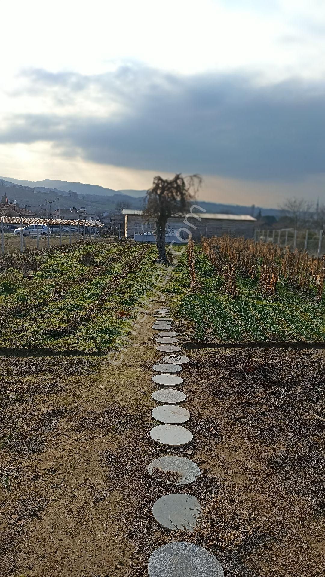 Gönen Tütüncü Satılık Tarla BALIKESİR GÖNEN TÜTÜNCÜ MAHALLESİNDE SATILIK TARLA