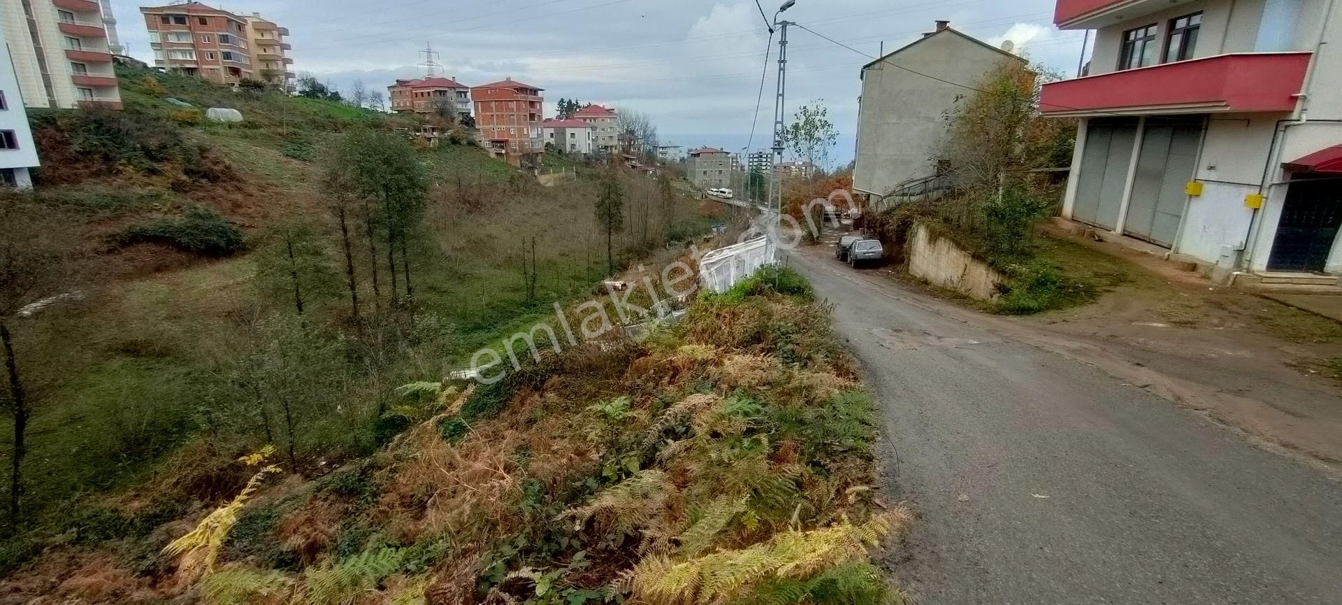 Ortahisar Pelitli Satılık Konut İmarlı  PELİTLİ YEŞİLKÖY MEVKİİNDE SATILIK İMARLI ARSA