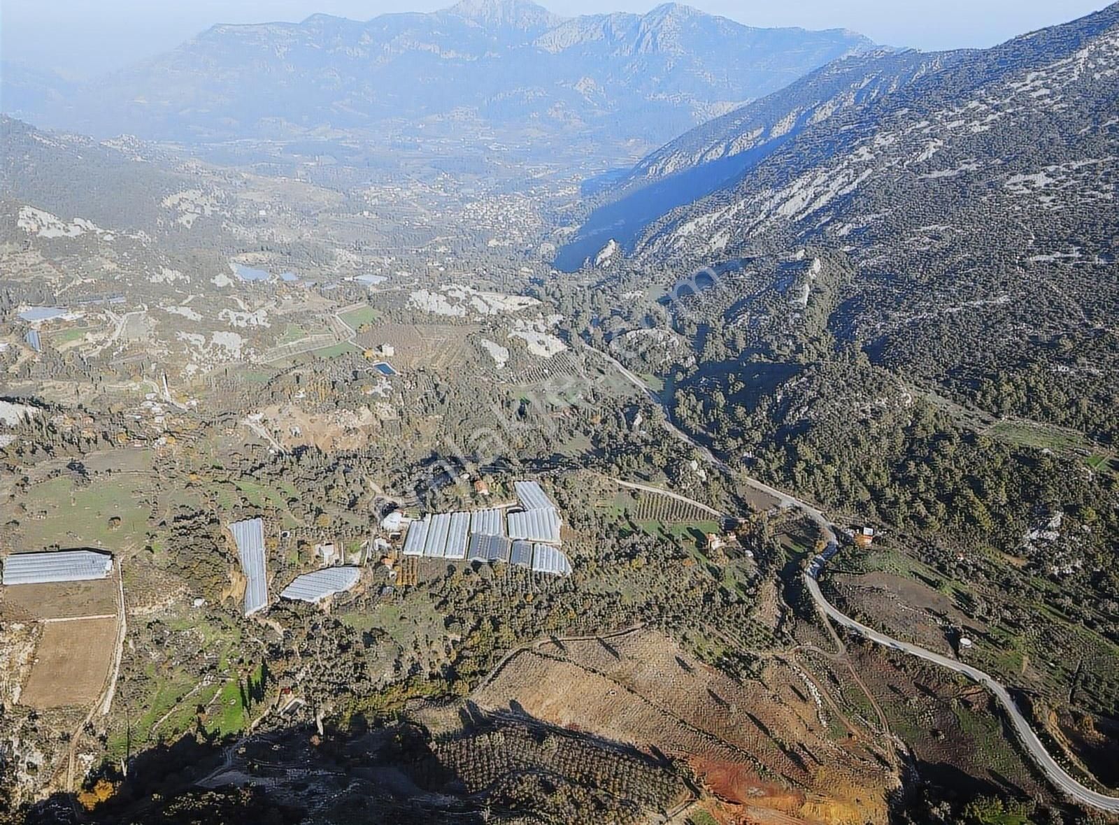 Bmk Emlaktan Antalya Kumluca Yeşilköyde Satılık Zeytin Bahçesi - Görsel 8