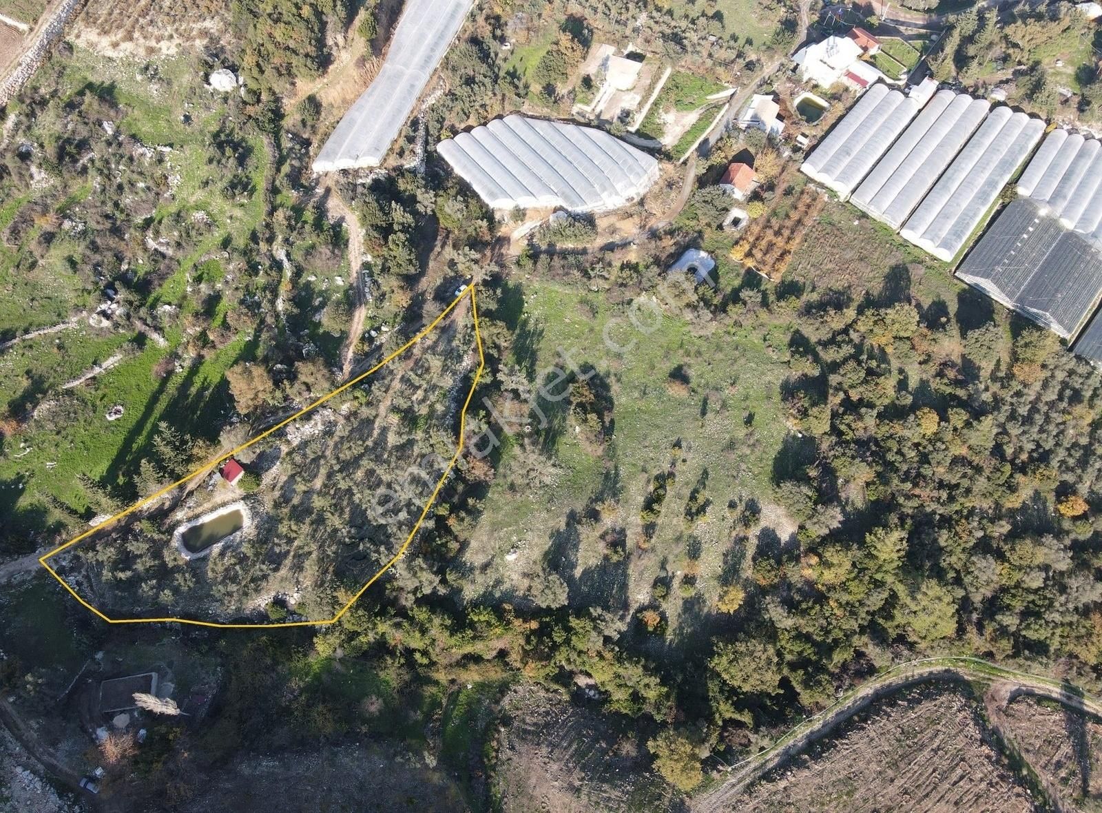 Bmk Emlaktan Antalya Kumluca Yeşilköyde Satılık Zeytin Bahçesi - Görsel 9