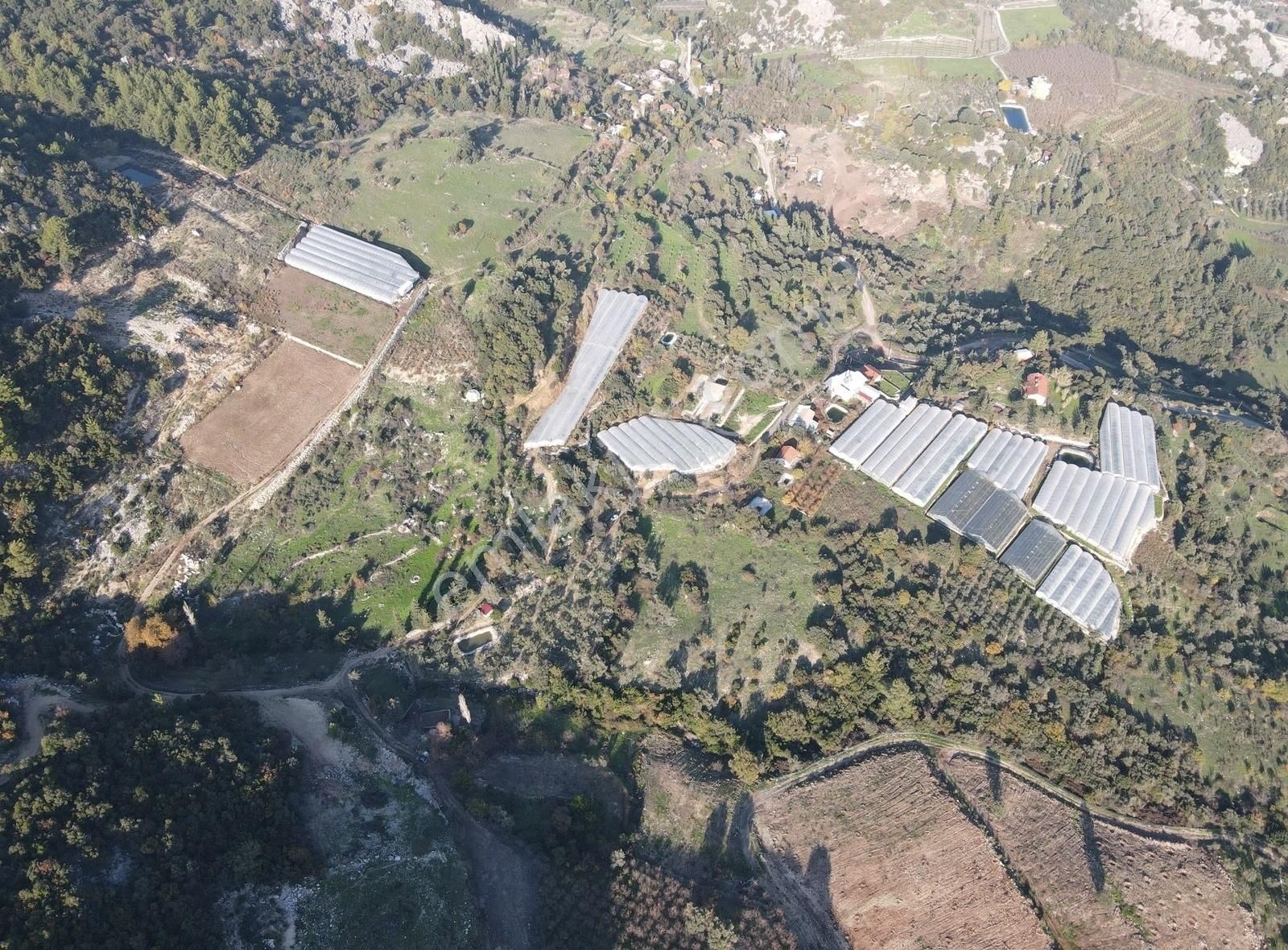 Bmk Emlaktan Antalya Kumluca Yeşilköyde Satılık Zeytin Bahçesi - Görsel 5