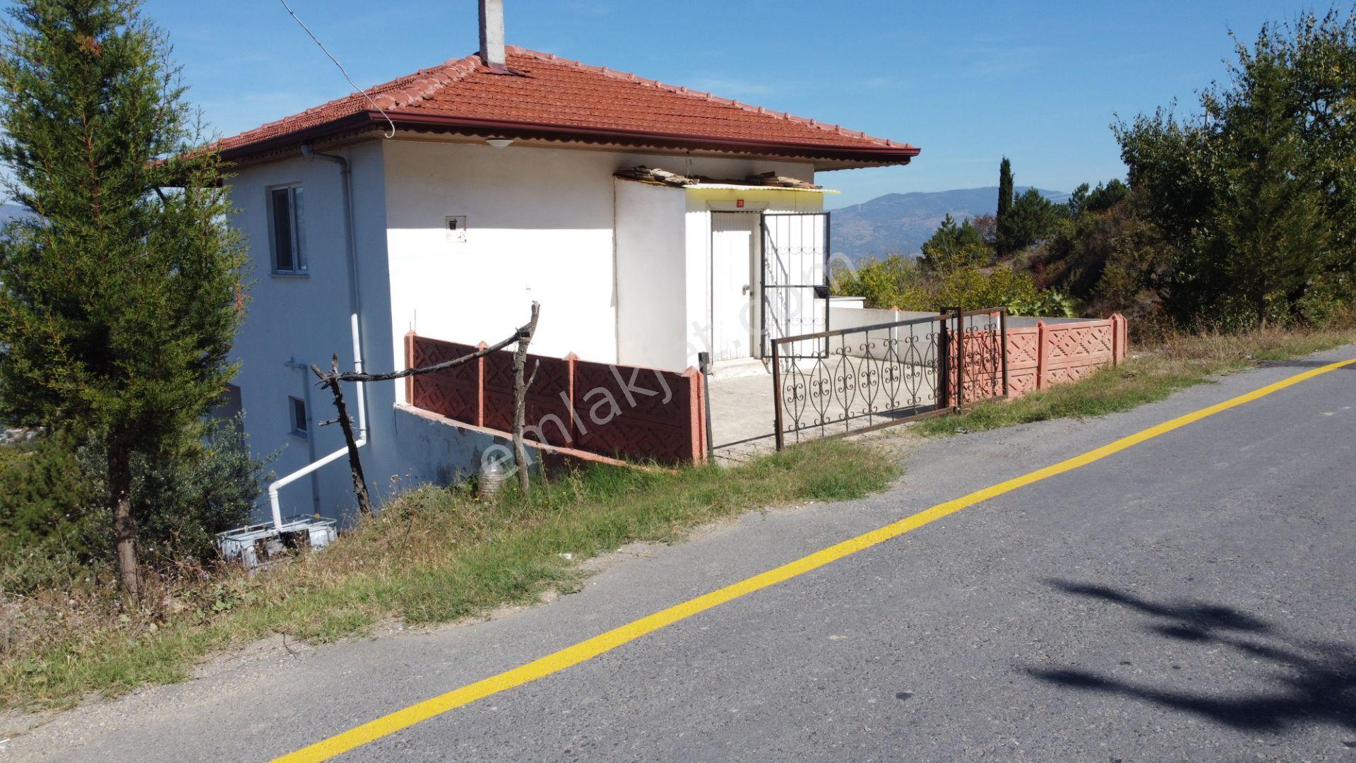 Sakarya Geyve Ceceler Köyünde 3255 M² Arazi İçinde Manzaralı Asfalt Yola Cephe Müstakil Ev - Görsel 11