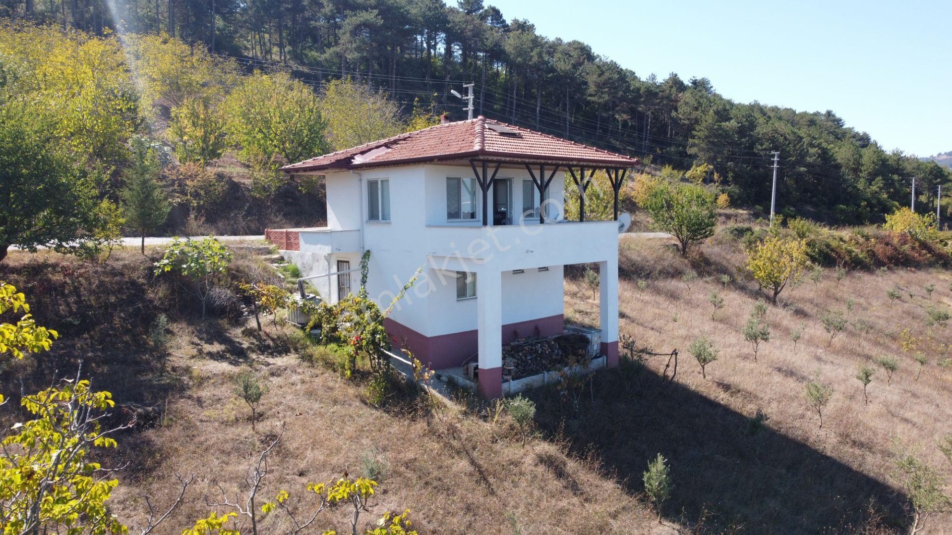 Sakarya Geyve Ceceler Köyünde 3255 M² Arazi İçinde Manzaralı Asfalt Yola Cephe Müstakil Ev - Görsel 2