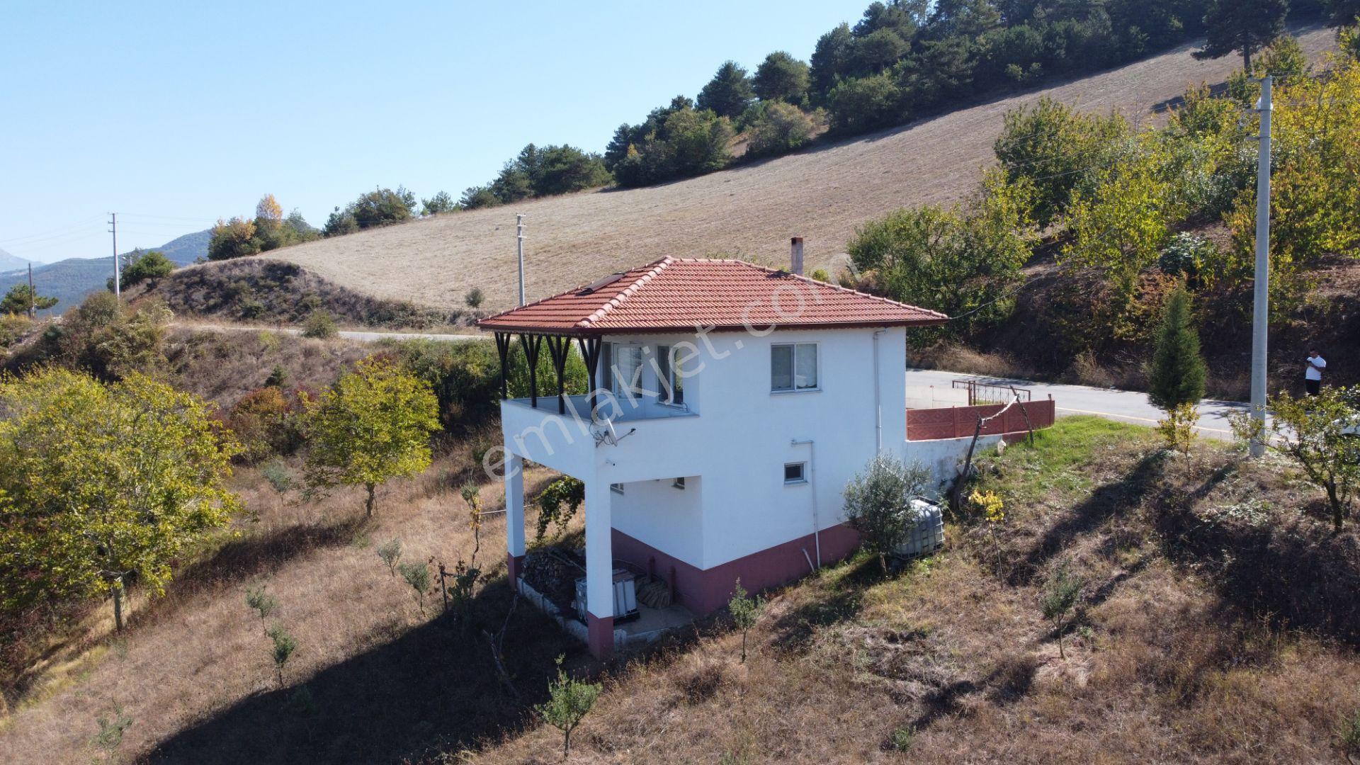 Sakarya Geyve Ceceler Köyünde 3255 M² Arazi İçinde Manzaralı Asfalt Yola Cephe Müstakil Ev