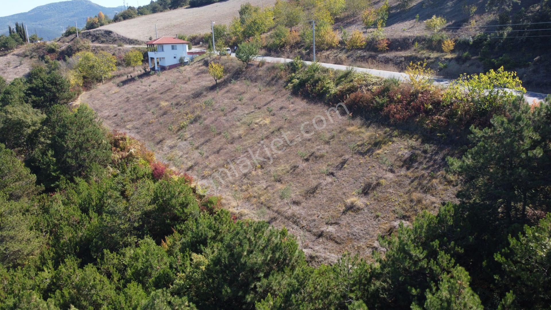 Sakarya Geyve Ceceler Köyünde 3255 M² Arazi İçinde Manzaralı Asfalt Yola Cephe Müstakil Ev - Görsel 5