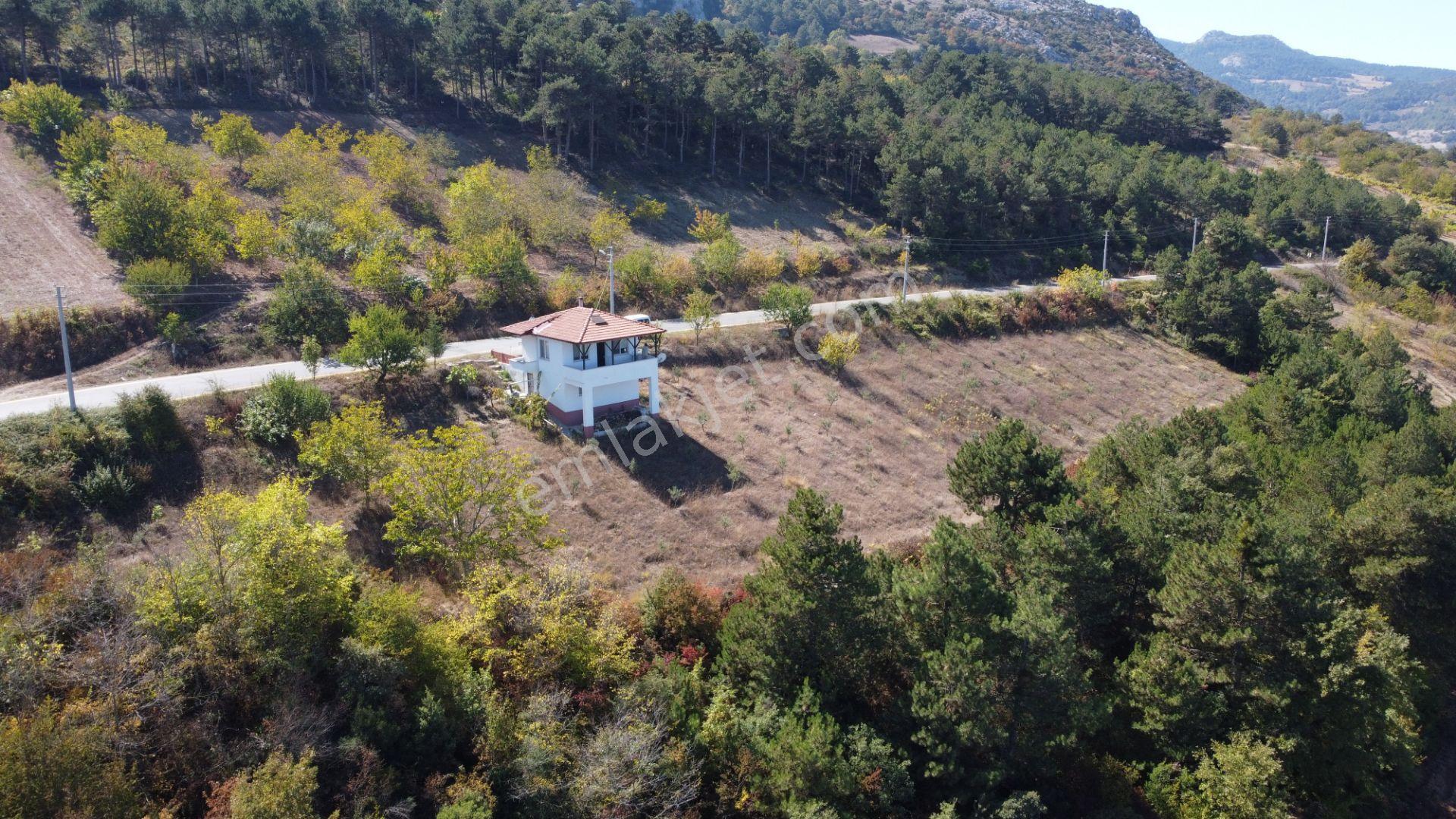 Sakarya Geyve Ceceler Köyünde 3255 M² Arazi İçinde Manzaralı Asfalt Yola Cephe Müstakil Ev - Görsel 6
