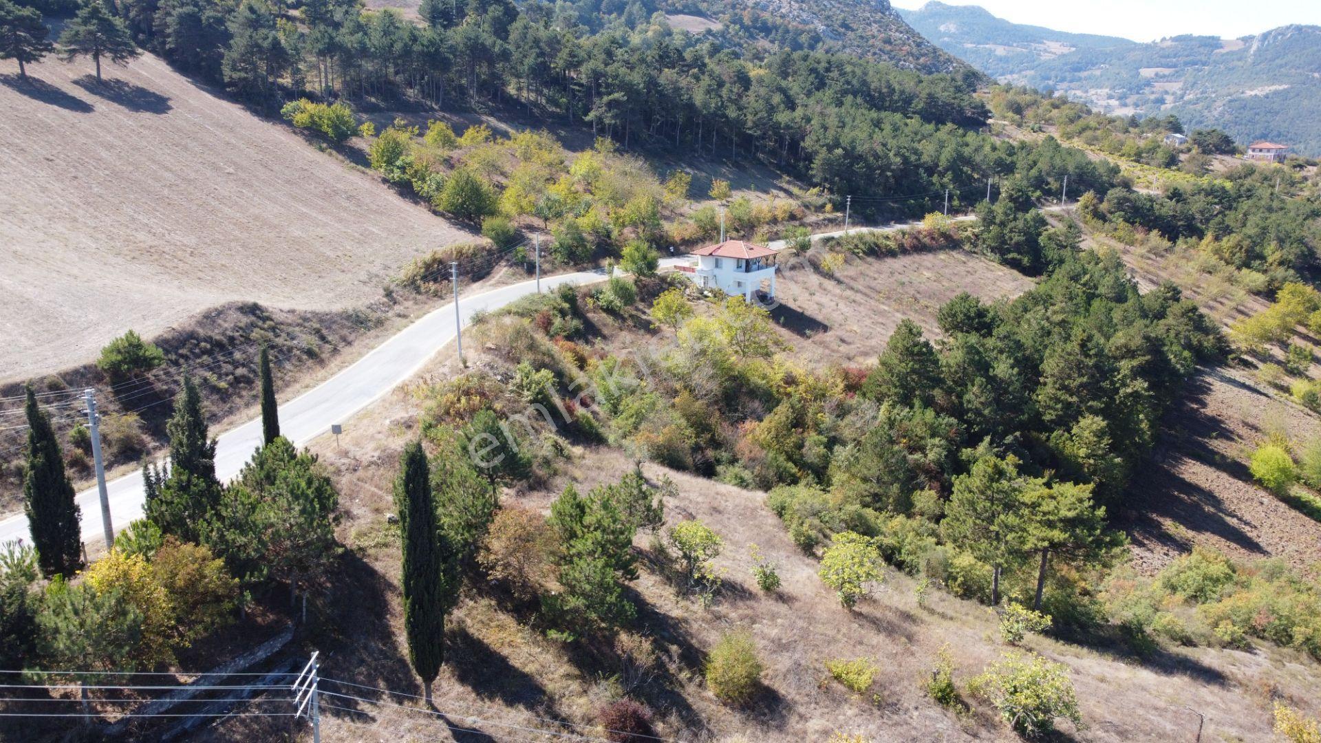 Sakarya Geyve Ceceler Köyünde 3255 M² Arazi İçinde Manzaralı Asfalt Yola Cephe Müstakil Ev - Görsel 7
