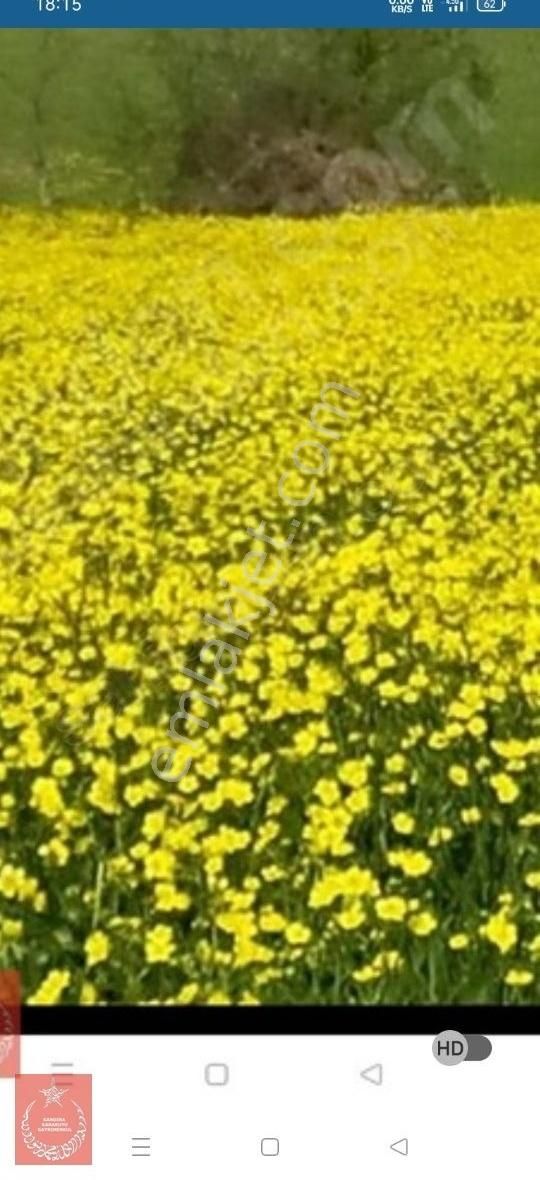 Kandıra Hıdırlarda Yollu Ve İmarli - Görsel 4