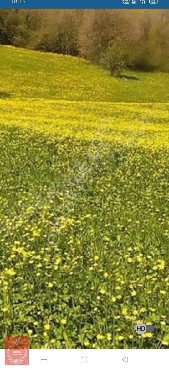 Kandıra Hıdırlarda Yollu Ve İmarli - Görsel 3