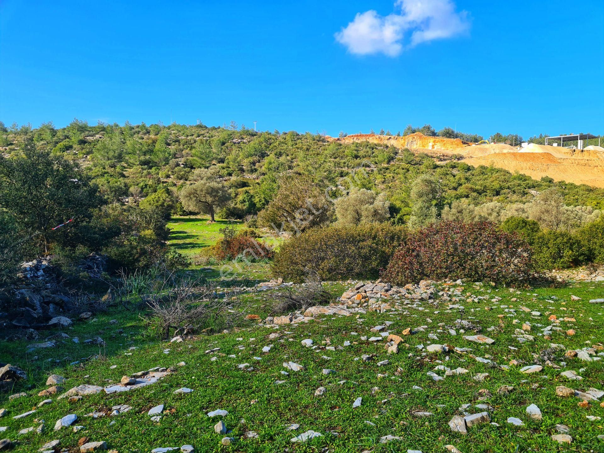 Bodrum'da Fırsat Müstakil Tarla! 2.210 M2 Tiny House Arazisi - Görsel 12