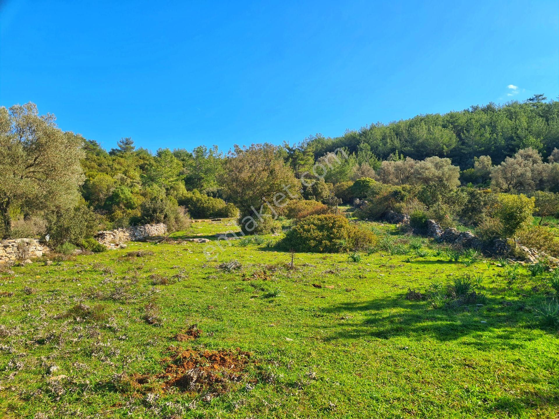 Bodrum'da Fırsat Müstakil Tarla! 2.210 M2 Tiny House Arazisi - Görsel 20