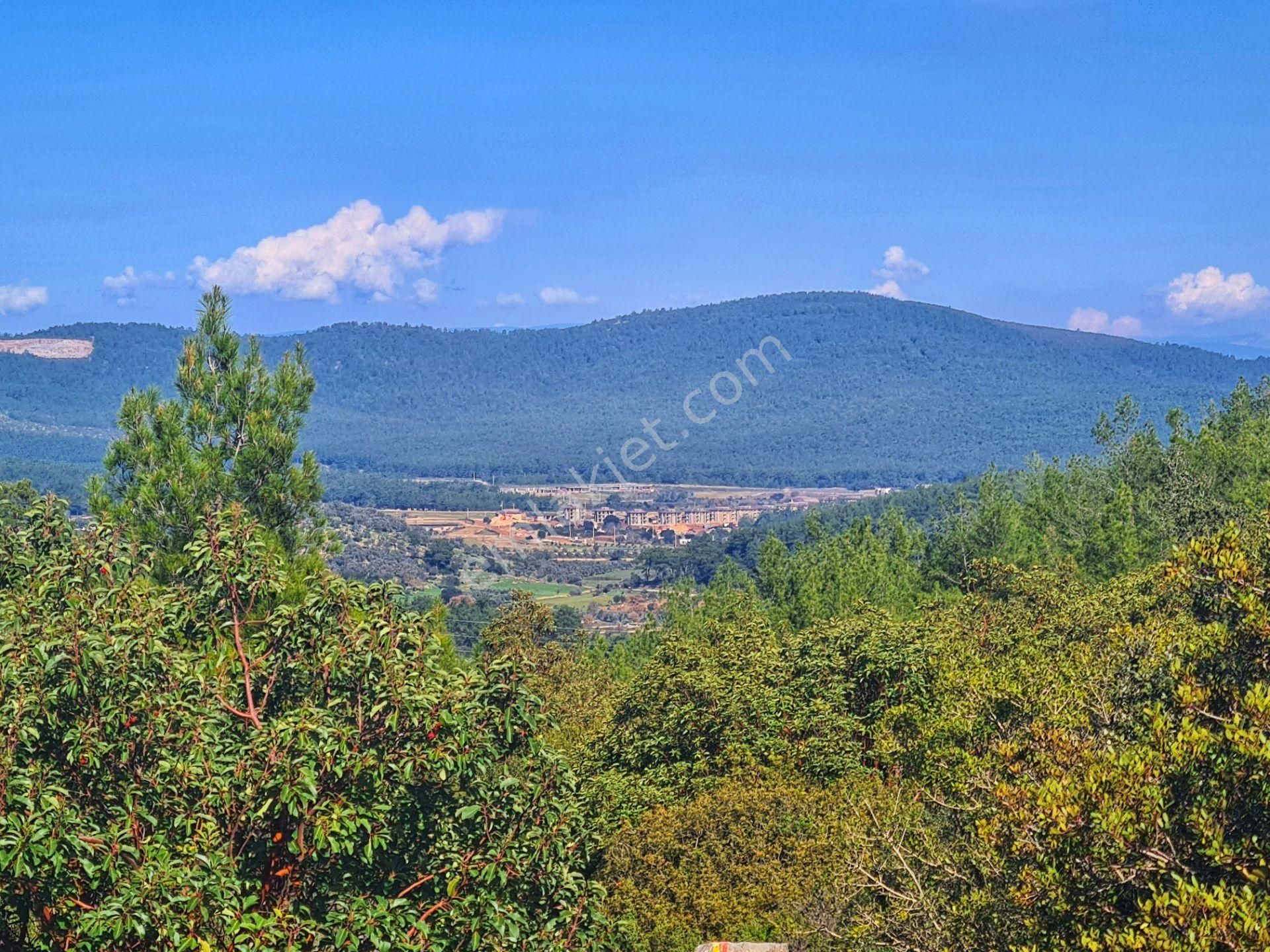 Bodrum'da Fırsat Müstakil Tarla! 2.210 M2 Tiny House Arazisi - Görsel 25