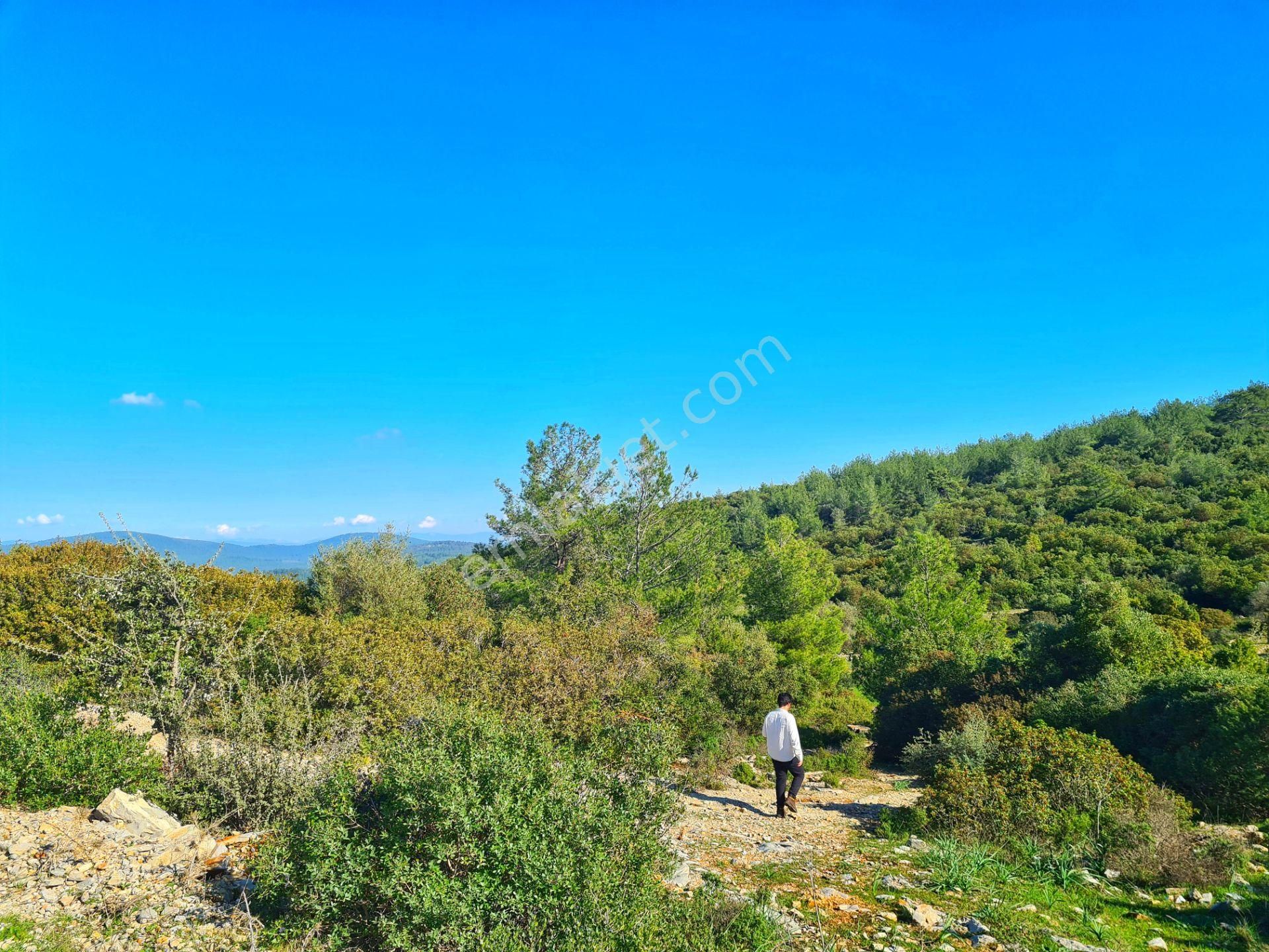 Bodrum'da Fırsat Müstakil Tarla! 2.210 M2 Tiny House Arazisi - Görsel 7