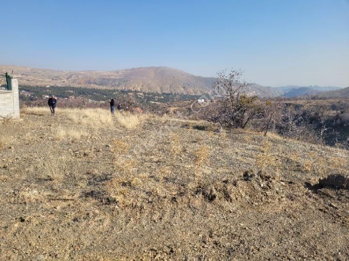 Tatköy'de Satılık Manzaralı Müstakil Etrafı Dolu Elektrik Ve Su Alınır 2355 Metrekare - Görsel 4