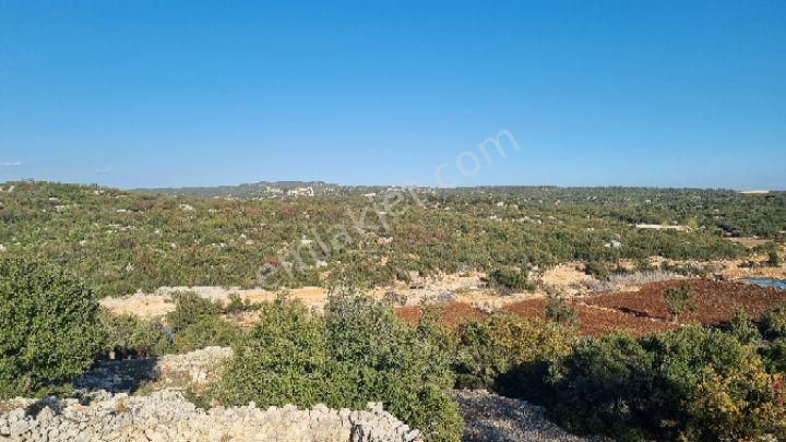 Silifke Canbazlı'da 42.6 Dönüm Satılık Arazi - Görsel 10